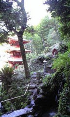 今日もゆっくり