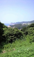 朝から寝てしまう