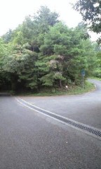 雨が降ってきたY(>_<、)Y