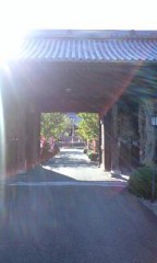 別格19番 香西寺 －久しぶりの昼寝－