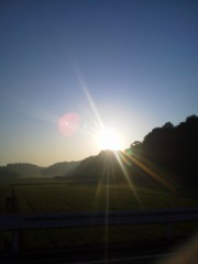 韓流にモノモウス！…ん？、誰か来たみたい。