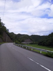 馬鹿が行く！。