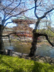 忍ばずのほとり