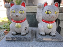 【お題日記】自分の体のココが自慢♪