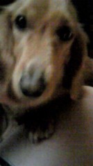 画像付着出来た(*^ □^*)