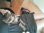 初投稿です！！いきなり大胆なのは恥ずかしいので…（照）