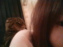 飼い主にそっくりですね(ﾉ∀｀)