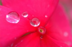 PCの修理の件でたらいまわし。。。