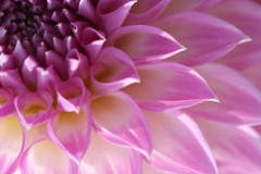 女のダメポイント３!