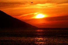 盗まれた　恋心