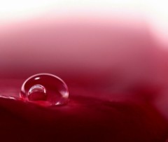 介護に物申す！