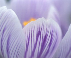 介護とは。。。