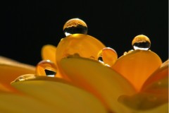 チャレンジへの勇気！