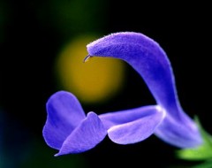 愛のかたちって。。。