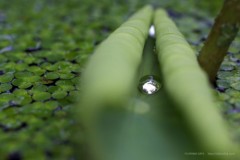 ３日目！ε-(´・｀) フー