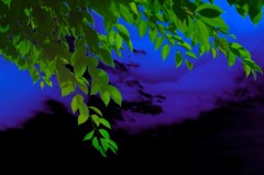 一寸先は闇・・・