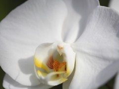 時の速さ・・・