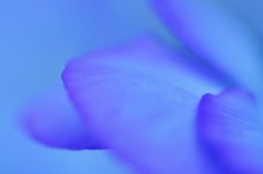 ４ヶ月もさぼり。。。