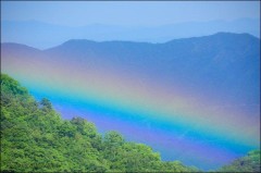 此からの政治。。。