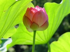 眠れない夜。。。