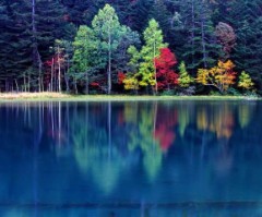 愛する事と愛される事の比率