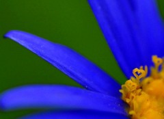 手を伸ばせば届く貴男！ｑ(^・・^)ｐ にまっ！