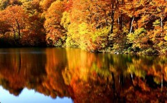 贅沢な休日！？