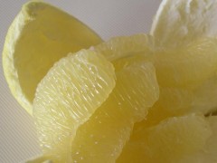 (*´-ω・)ﾝ？認知症かにゃ～