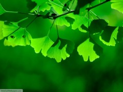 【お題日記】一緒のお風呂に入りますか？