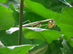 夫婦とは。。。