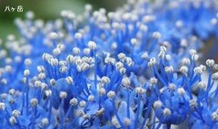 【お題日記】結婚を決めた理由