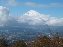 アクシデント!!