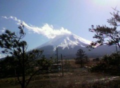 やはり美しい・・