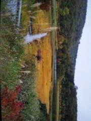 今日は八幡平!!