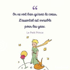 「いちばんエッチなことは、目に見えない」