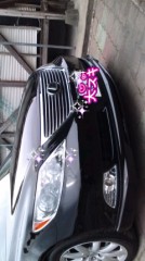 ドライブとか 行く？〃