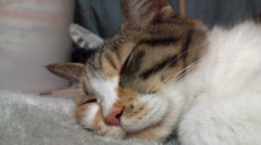 カメラを撮ったりが趣味なので やってみた枠(笑)www