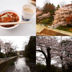 【お題日記】自己紹介をしてみて下さい