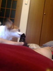 同居人とついに!!