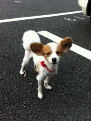 もう夏なので(*^_^*)