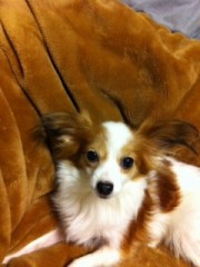 最近は一緒です！