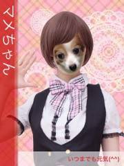 アイドルになりました!!