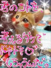 【お題日記】年の差は何歳までOKですか？