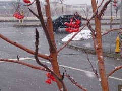 【お題日記】今年の冬のファッションは？