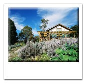 最近の出来事・・・（４）