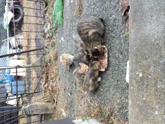 【お題日記】初めてやったアルバイト