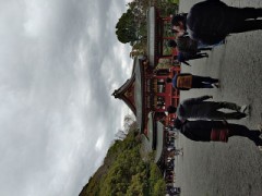 昨日箱根旅行から帰っ来て