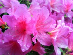 水も滴る・・・