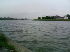 波立つ心・・・