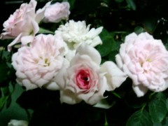 今日はなんの日？